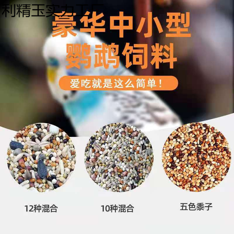 混合鳥の餌 鳥の餌 オウムの餌 タイガーピーチ 黒鳳凰 牡丹 五色雑穀 食品雑穀 250g シェル付き|undefined