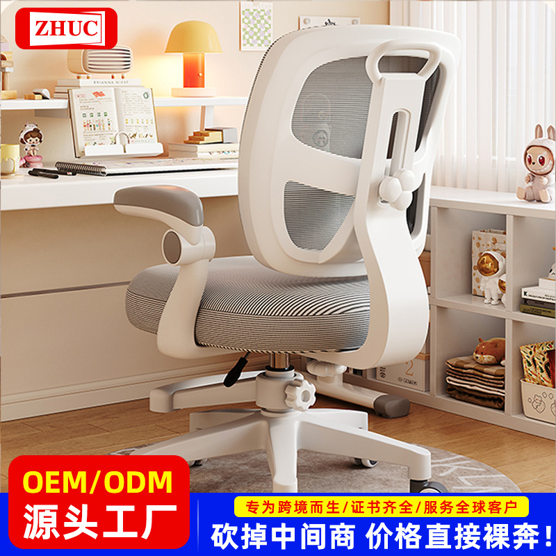 Children's Learning Chair for Primary and Secondary School Students to Correct Sitting Posture and Adjust the Lifting Computer Chair Study Desk Chair Home Writing Chair