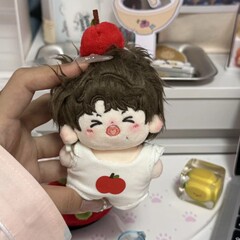 時代少年団 宋亜軒 劉耀文 厳昊翔 10cm 可愛い綿人形 ぬいぐるみ 親友へのプレゼント