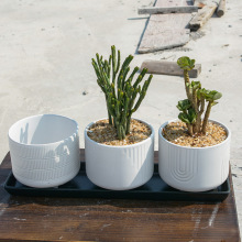 陶瓷简约圆形花盆家居室内桌面多肉绿萝虎皮兰创意小阳台客厅绿植