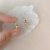 Advanced earrings, 925 sample silver, 2022 collection, high-quality style, bright catchy style, light luxury style