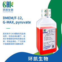 细胞培养基DMEM/F-12含L-谷氨酰胺含丙酮酸钠含HEPES不含酚红