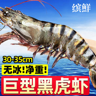 �ڻ��r�������r���r�ϻ��r�r��r�����r�ش��ك����r����Ź��r