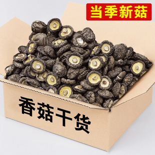 ���ػݡ��㹽���x��؛�㹽Ģ�����������������̸��Ҝ��r��ʳ��
