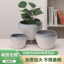 陶瓷花盆带托盘中国风特大号室内君子兰发财树蝴蝶兰蓝莓吸水透气
