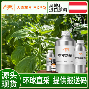 ���_�վ���/���㴼�_�� Basil �W����ֱ��ԭ�����l�����o���{��