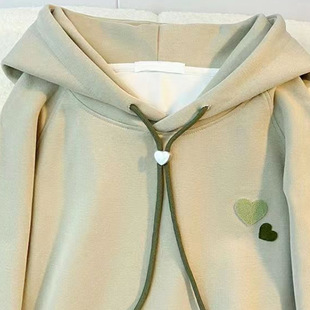 Girls' fleece-lined hooded sweater 2023 new medium and big children fashionable western style embroidered Korean style loose top bottoming shirt