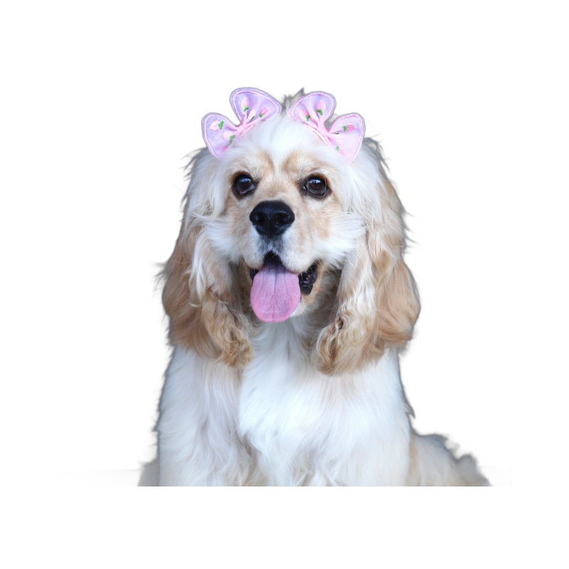 Horquilla para mascotas Marzis gato de pelo largo perro clip de pelo roto lindo sombrero de paja arco conejo pato tocado traje image 6