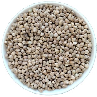 ��������ș�����l �Ƀ��o�s�w��ȥ���B�Z�W�^�Z����ă� Ʒ�N�Rȫ