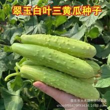 ���~���S�ϷN�Ӵ����＾�͟�����r���߲��̨����ˮ���˹ϷN��