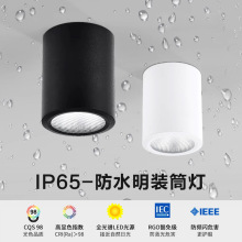 ��ˮ���bͲ�����������̨����T�^�Ƶ�����¶̨������IP65����