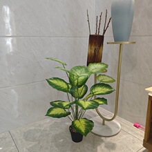 �羳��ˇ���W������������f�������ֲ���҃ȿ͏d�bGֲ����