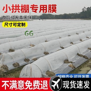 Agricultural Transparent Plastic Film for Growing Vegetables, Small Arch Shed Film, Agricultural Special Film, Plastic Paper, Thermal Insulation Mulch Film, Cold-Proof Greenhouse