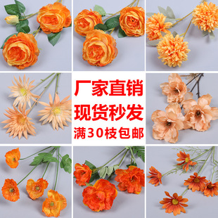 ��ɫ���滨��c��ˇ��ɫ������Y���b���·�������҃Ȼ�����