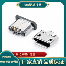���_micro usbĸ��5p�N����ʽ��׿��늽ӿ�H=5.6��߅���_����F�a