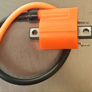 Racing Ignition Coil Carb & Fi Type Neutral