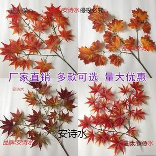 쾰~b~t~̫ͩ~Ř֦＾Gɫ