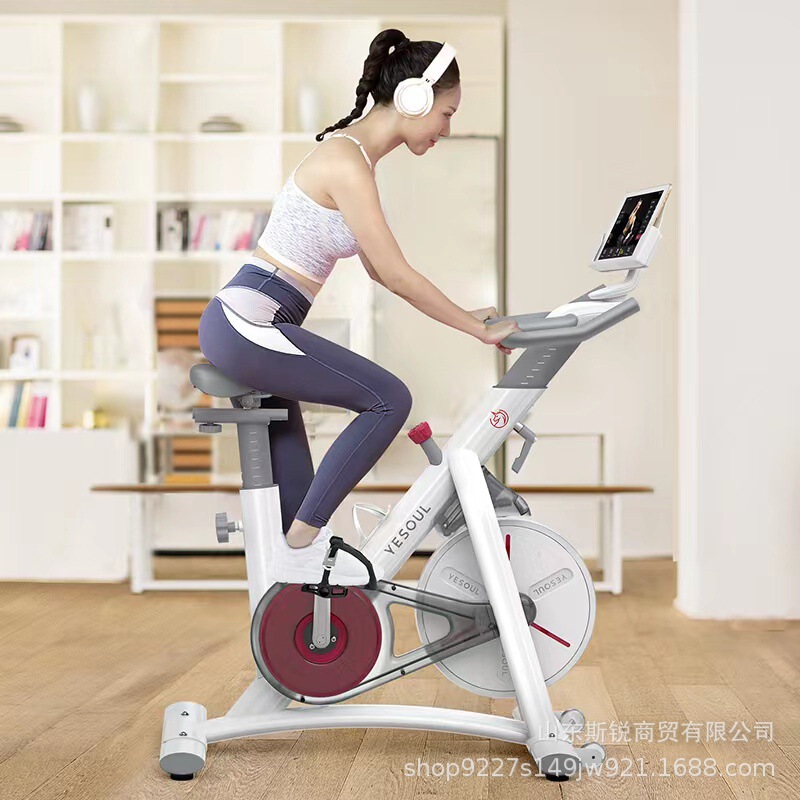 Yesoul Dynamic Exercise Bike for Home Use, Fitness and Weight Loss Equipment, Indoor Bluetooth Silent Model