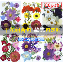干花压花批發植物标本干花diy材料组合包树叶标本贴画框热卖跨境