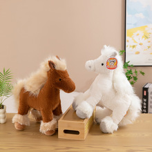 ��ͨ�S��ؐؐ����С�R�ŵ�ë�q���Ů�����նY�漢�ǫF�羳���l