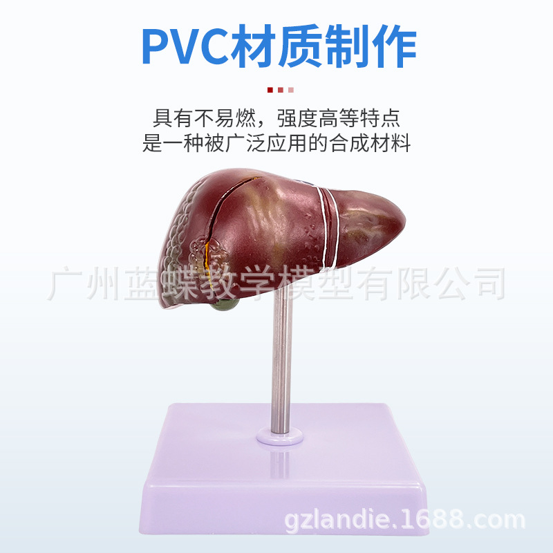 ҽѧ��������������ģ�͸��ŵ��ҵ��ܽṹ����ϵͳ������ʾ�̾�