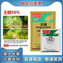 禾益沃青50%王铜 黄瓜细菌性角斑病柑橘树果蔬农药杀菌剂