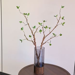 ֲ��Gѿ�~��c�Ҿ��bl�ݿ�֦�G�~�[���廨�[�O�Gֲ�߷��滨��