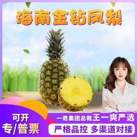 【严选】海南金钻凤梨 代发5斤礼盒新鲜无眼菠萝酸甜时令水果当季