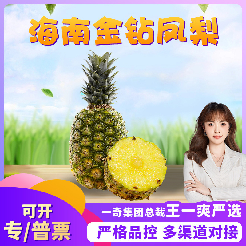 【Premium Selection】Hainan Golden Diamond Pineapple Direct Delivery 2.5kg Gift Box Fresh Seedless Pineapple Sweet and Sour Seasonal Fruit