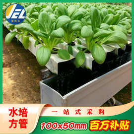 pvc管水培种植管方形大棚农用水管家庭酒店温100 50源头厂家