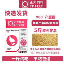 ����900�J���u��Ϯa���Z�g���r�u�R��С�u�µ�ʳ�_���µ���