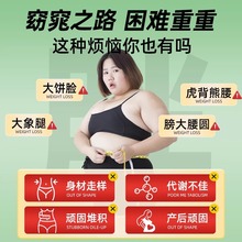 北京同仁堂桑叶双瓜茶苦瓜茶冬瓜茶减得脂降得压霜后减糖高肥朕皇