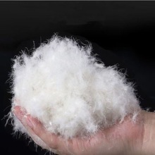 一斤装羽绒郭润泽