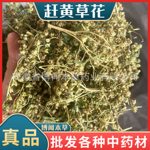 șsSݻ sS~؛ ĴAsSݲ~N䱳l