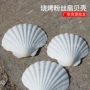 夏威夷半壳手工烧烤贝壳画