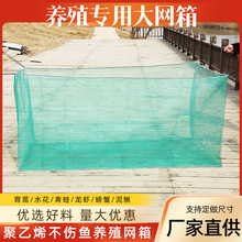 ���l10Ŀ�W���Bֳ�W�����q�S�X���r�з���~���ܷ��ӾW���~��W��