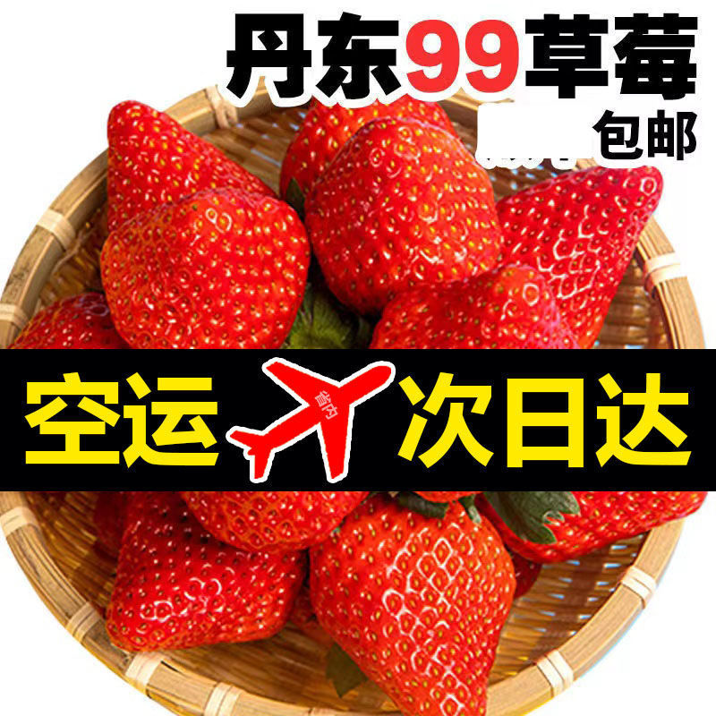 草莓丹东99牛奶新鲜3斤奶油红颜大水果现摘现发半斤批发价网红|ru