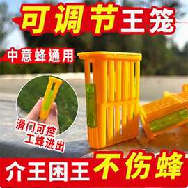 蜂王笼饲养工具黄色塑料介王笼 双侧滑门囚王笼蜂王运输笼塑料