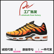 �������l�羳��ԭTN���Qȫ�ƚ�|40-46���Q�W��վ��Ь�\�����eЬ