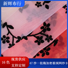 �F؛47��һ֦÷����ֲ�q�W����ˇƷ����ȹ�B��ȹ����ȹ�W��
