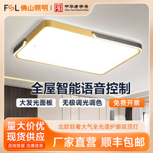 FSL��ɽ���� LED��ŷ��Լ�����ִ���������������������������