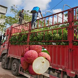 园林果树;灌木;乔木