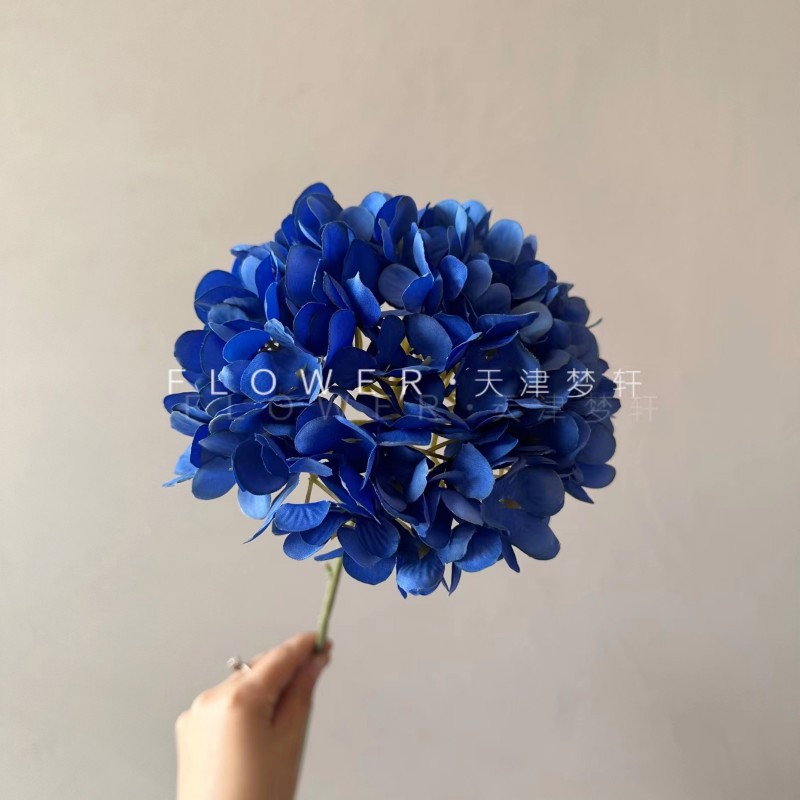 클라인 블루
