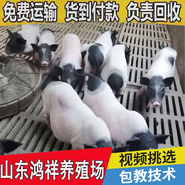 conew_u=2404515570,2626985038&