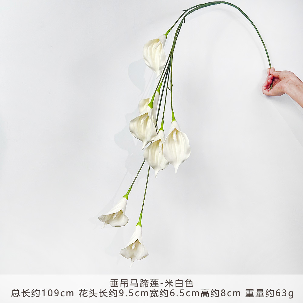 KR-垂吊马蹄莲-米白