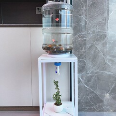 轻奢透明矿泉水桶养鱼改装鱼缸18.9升纯净水桶生态底部排水生态缸