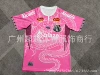 25-26 Santos Special Edition Powder