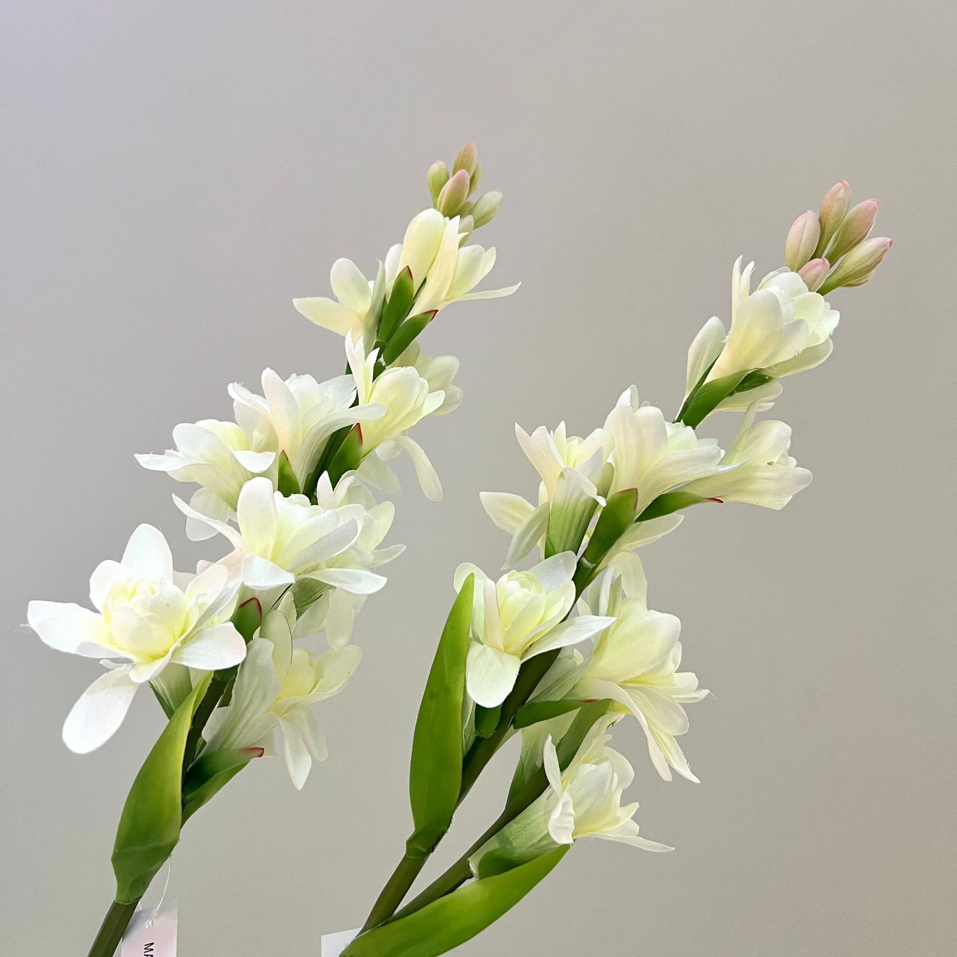 WeChat picture_20240613163121.jpg