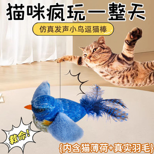 ؈����߶�؈���������С�B��؈���˽␞������ץҧ������Ʒ