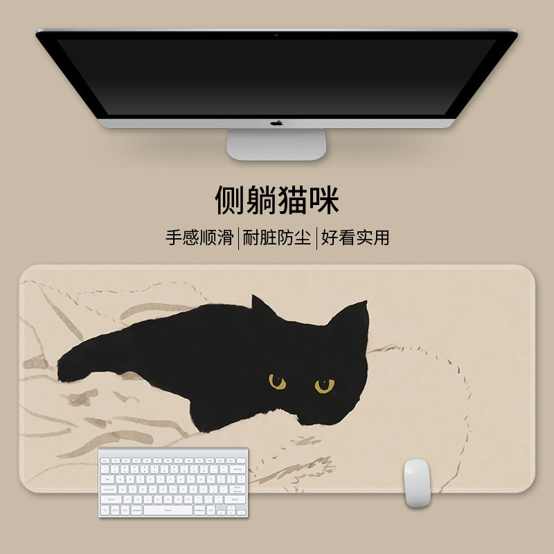 옆으로 누워있는 고양이